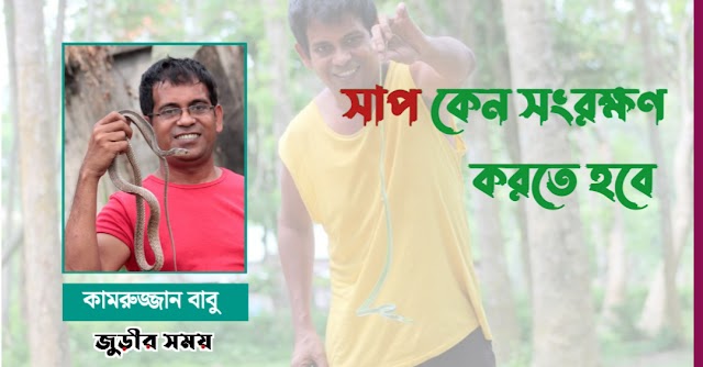 কৃষকের বন্ধু সাপ কেন সংরক্ষণ করতে হবে