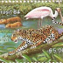 1984 - Brasil - Pantanal e os animais