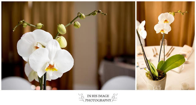 vintage wedding, Protea hotel, Northern Cape 008