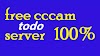 Free cccam server 2024