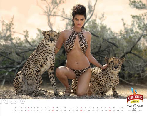 Kingfisher Bikini Calendar   HQ Photos hot images