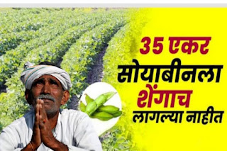 agriculture news in Marathi