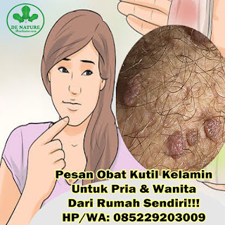 obat kutil kelamin