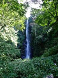akcayatour&travel, Travel Malang Banyuwangi, Travel Banyuwangi Malang