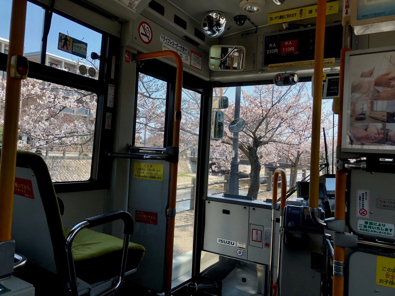 ブロガー 芦屋から 芦屋花紀行 阪急バスの車中の桜 Iphonephotograph