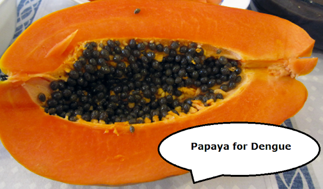 Health Benefits of Papaya - Dengue