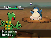 Pokemon White Deluxe Screenshot 07