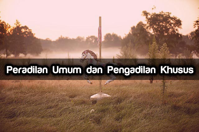 Peradilan Umum dan Pengadilan Khusus