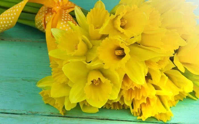 Buquê-de-Flores-Narcisos