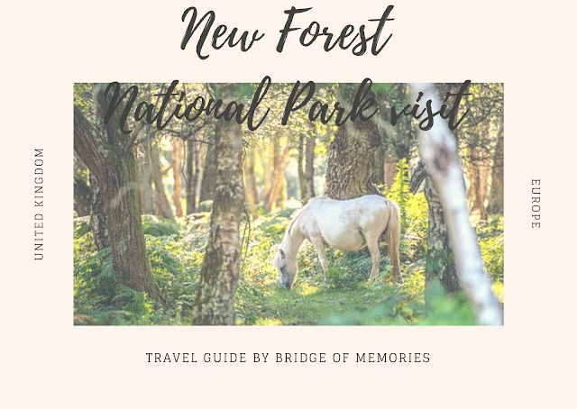 Visiting New Forest Park National Park