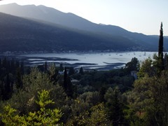 P7260231