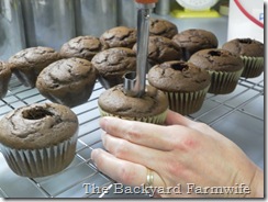 cupcake 01