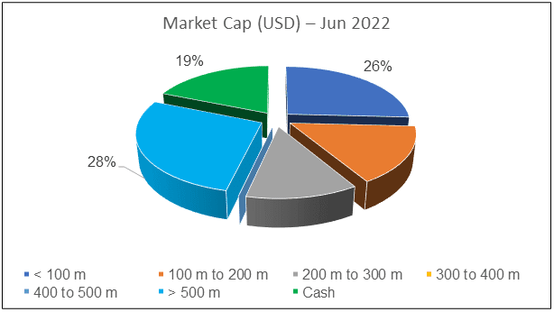 Fund Profile by Market Cap end Jun 2022