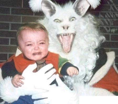 funny easter bunny pics. funny easter bunny