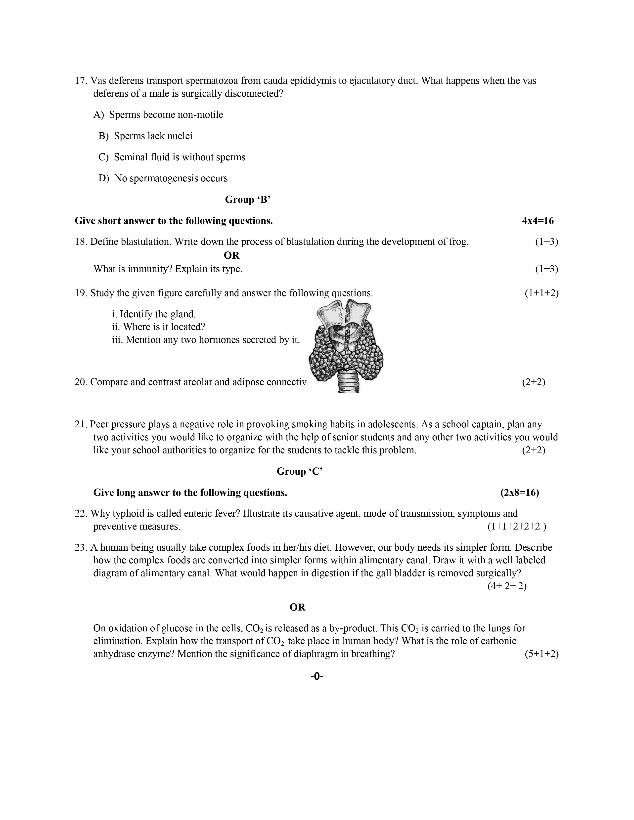 NEB Class 12 Biology Model Question Paper 2079 2080