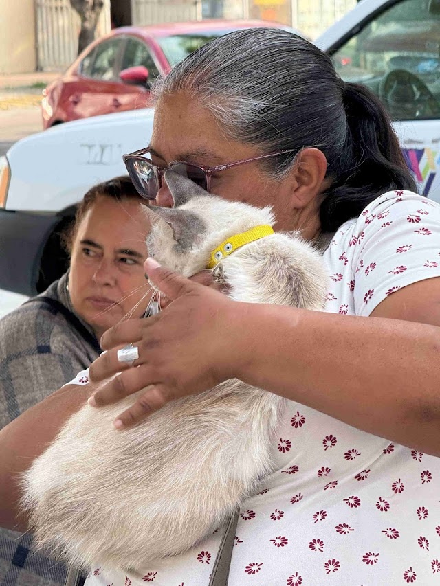 ANUNCIAN NUEVAS FECHAS PARA ESTERILIZACIONES CANINAS Y FELINAS.