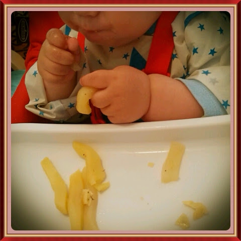 baby led weaning, alimentación complementaria,primeras papillas