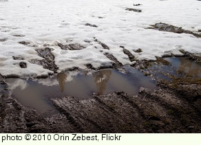 'When Dirt Meets  Mud' photo (c) 2010, Orin Zebest - license: http://creativecommons.org/licenses/by/2.0/