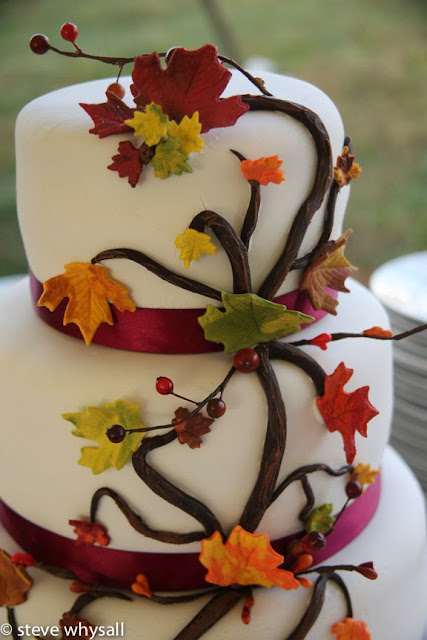 868 estates vineyard wedding cake