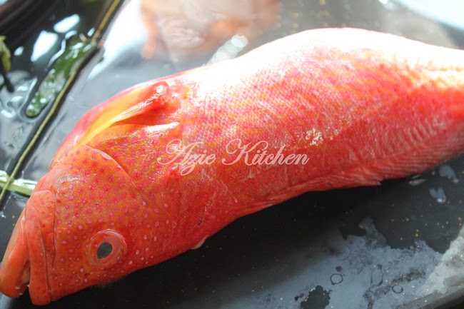 Ikan Kerapu Bara Goreng Halia Dan Bawang Putih - Azie Kitchen