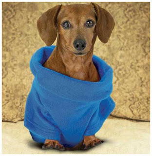 Snuggie for Dogs