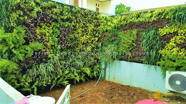 Kami merupakan Jasa Pembuatan Vertical Garden Murah Dan Bergaransi Di Kota Jakarta, Jasa tukang Vertical Garden Jakarta, Jasa Vertical Garden Jakarta, Tukang Vertical Garden Jakarta, Tukang Taman Vertical Jakarta, Vertical Garden Jakarta, Tukang taman Dinding Jakarta, Jasa Pembuatan Taman Dinding Jakarta,