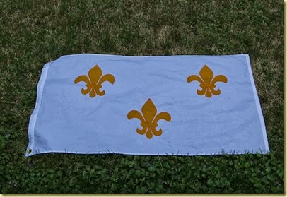 French Flag
