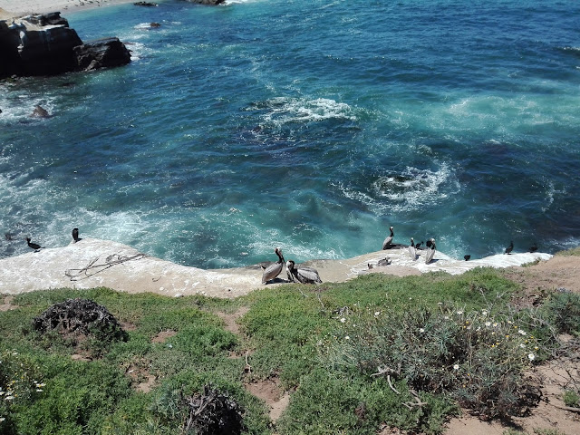 La Jolla, San Diego, Californie 