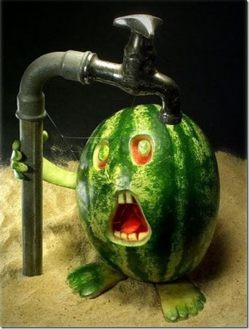 Most Unbelievable Fruits Art Seen On www.coolpicturegallery.us