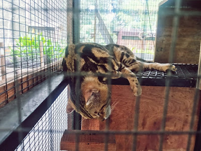 Tempat Menarik di Pahang, The Bentong Farm