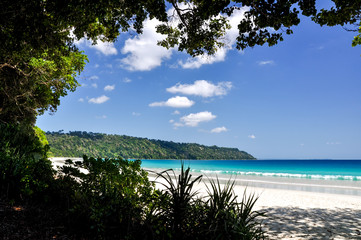 beautiful beach of andaman and nicbar surrounded by lush green jungle