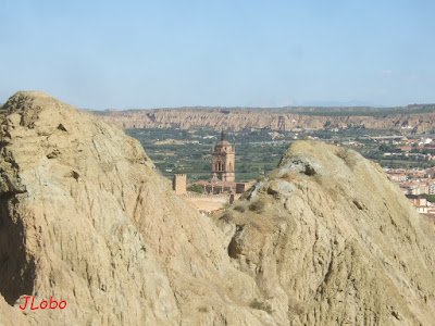 https://loberosygalgos.blogspot.com/2018/10/la-acci-romana-guadix.html