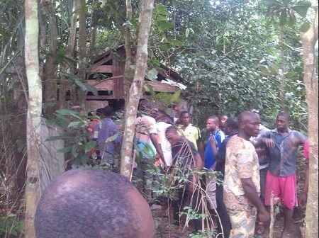 Drama as Village Chief Priest Runs for His Life After Youths Destroy His Evil Forest in Imo (Photos)