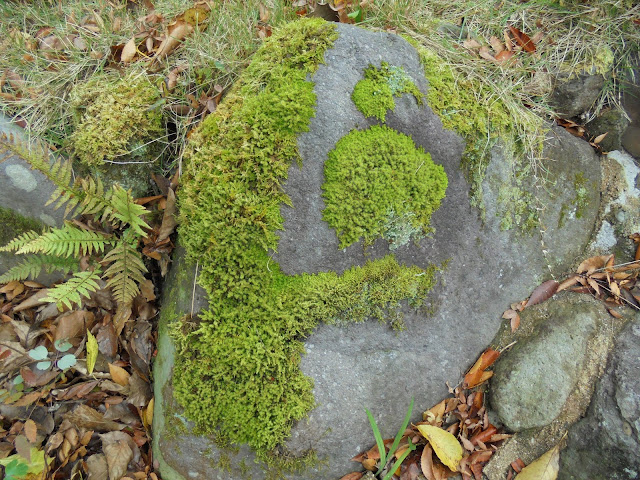 大山ペンション赤いりぼんの庭の石垣