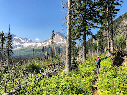 Hiking the Gunsight Pass Trail