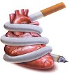 افضل الطرق لمحاربة التدخين بالغذاء