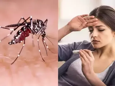 विषमज्वर - मलेरिया से बचाव करे लहसुन