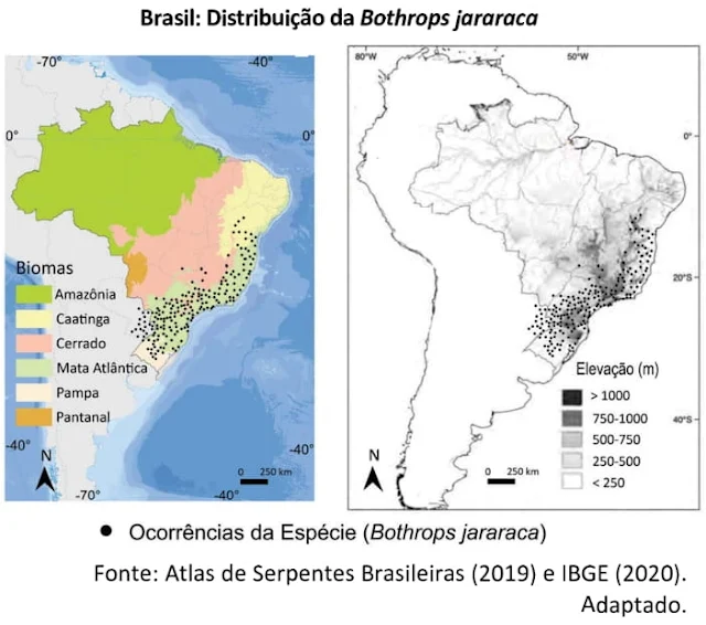 BRASIL: DISTRIBUIÇÃO DA BOTHROPS JARARACA