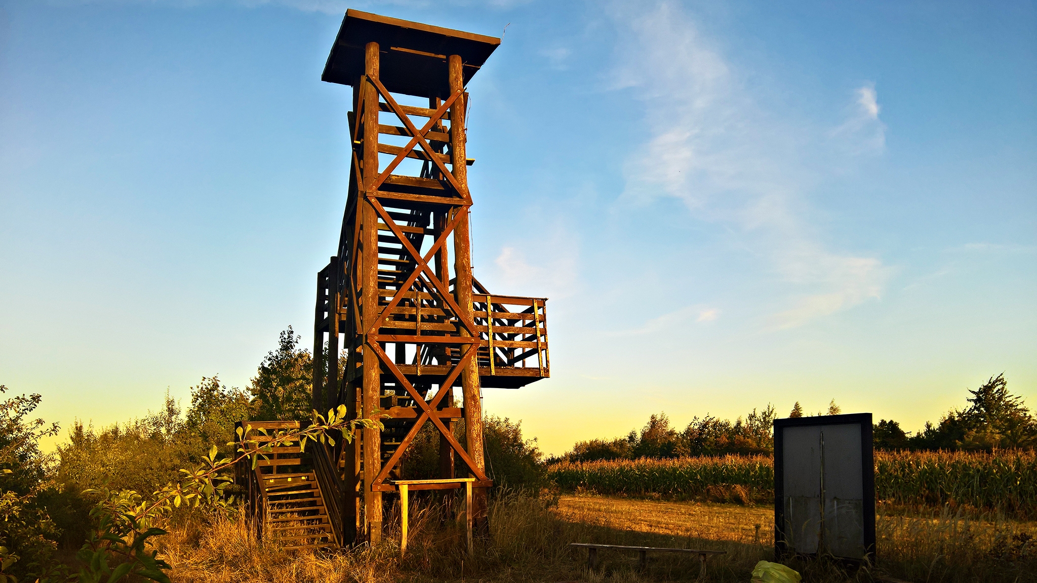 Drewniana wieża widokowa na Wzgórzu Kopyczyzna