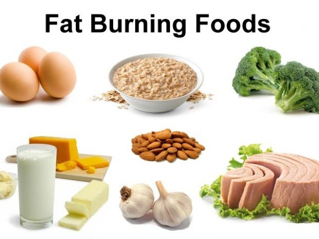 Best Diet For Fat Loss And Muscle Gain - dragonposts