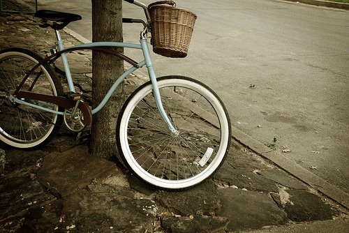 fall + bicycle