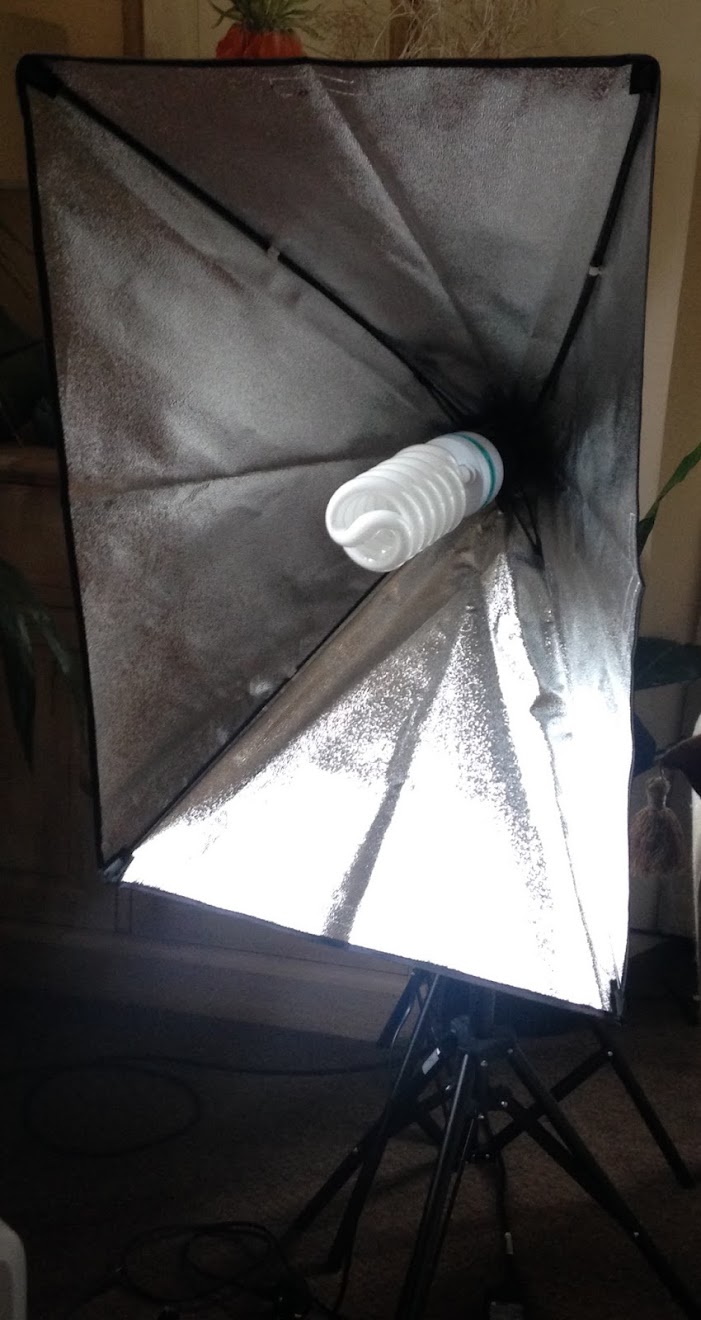 softbox lamp