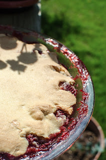 strawberry, frangipane, pie, cake, eggs, simple