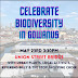 This Sunday, Come Celebrate Biodiversity Day In Gowanus With Reverent
Billy And Local Activists