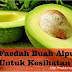 10 Faedah Buah Alpukat Untuk Kesihatan Tubuh