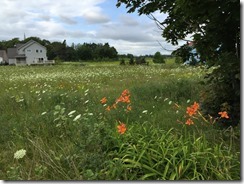 Prince Edward Island Day 1 2015-08-08 043