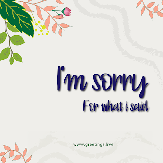 An apology greeting card with a light background adorned with illustrated flowers and leaves in the corners. In the center, there’s a handwritten-style text that reads “I’m SORRY For what i said” in dark blue font