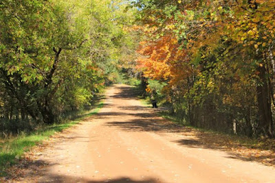 Autumn sunshine warming a country road