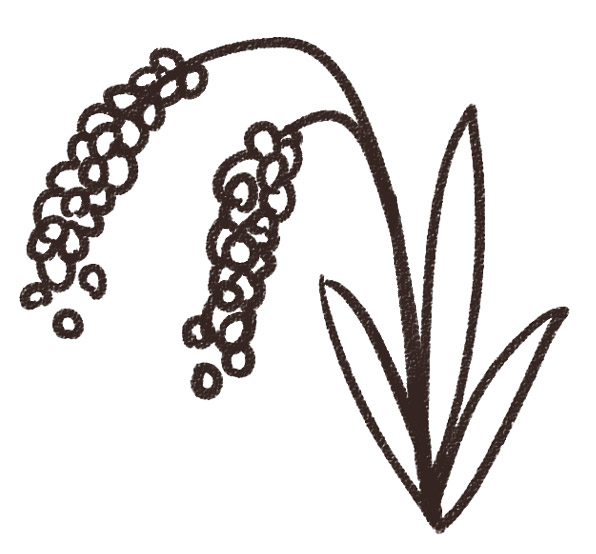 稲のイラスト 植物 ゆるかわいい無料イラスト素材集