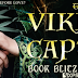 Book Blitz: The Viking's Captive by Quinn Loftis + Giveaway